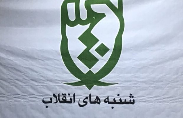 انقلاب اسلامی هنر را به خاستگاه حقیقی خود بازگرداند