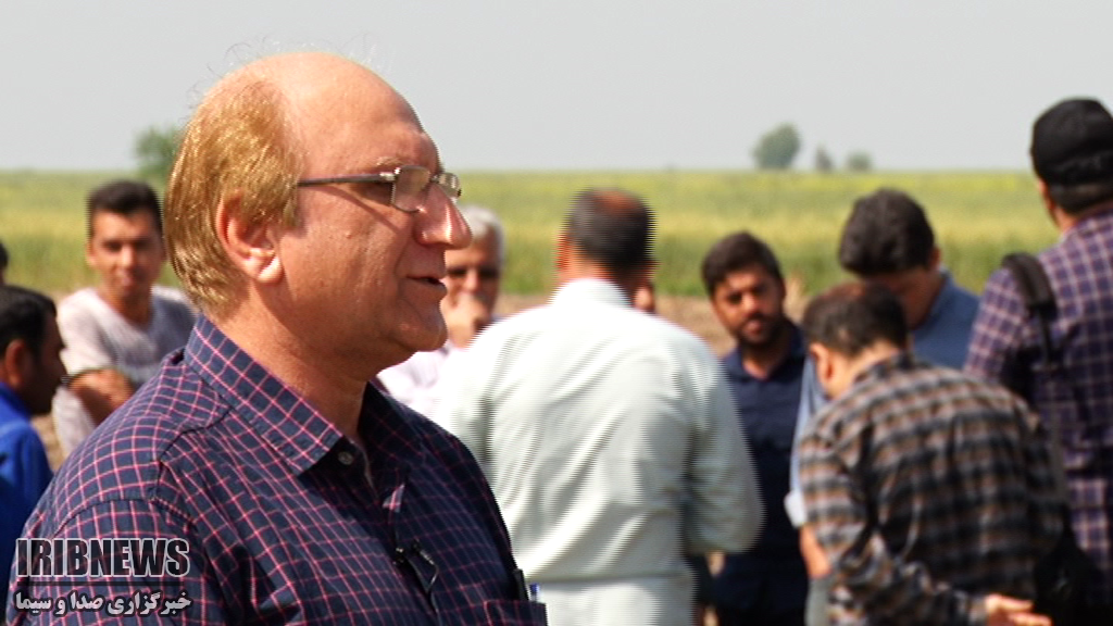 کشت امید
