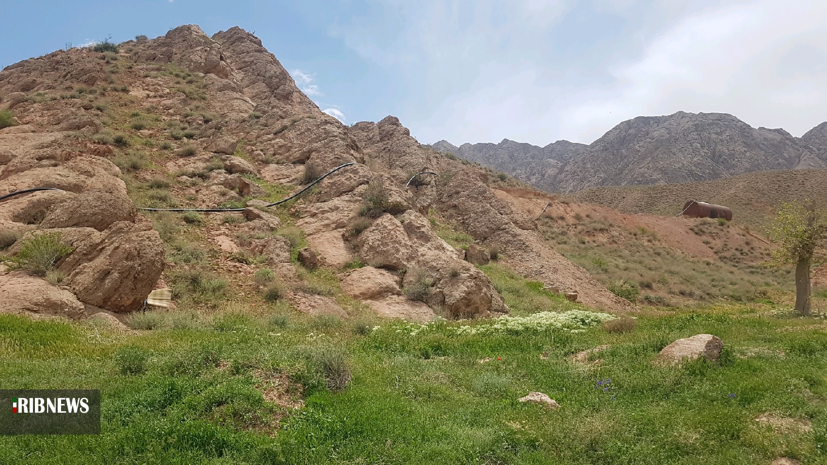 احداث ۳ هکتار باغ دیم با همت جوان زیرکوهی احداث ۳ هکتار باغ دیم با همت جوان زیرکوهی