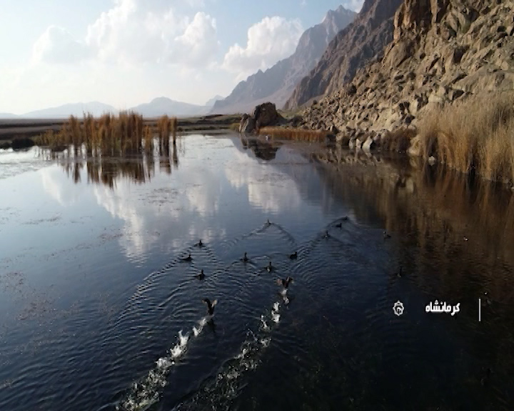 خوب شدن حال هشیلان خوب شدن حال هشیلان