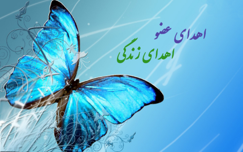 پایان زندگی بخش در فسا پایان زندگی بخش در فسا