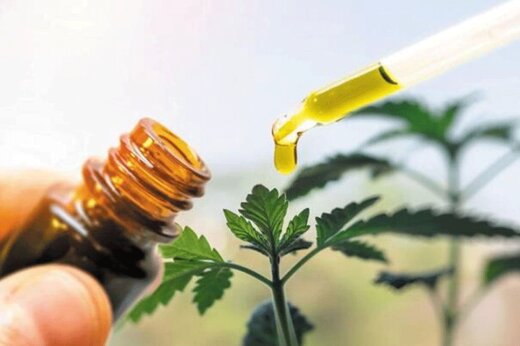 داروی گیاهی به جنگ کرونا می&zwnj;آید