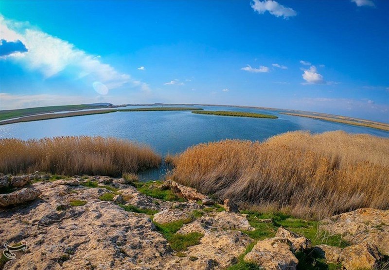 آوای خوش زندگی در دل تالاب کانی برازان آوای خوش زندگی در دل تالاب کانی برازان