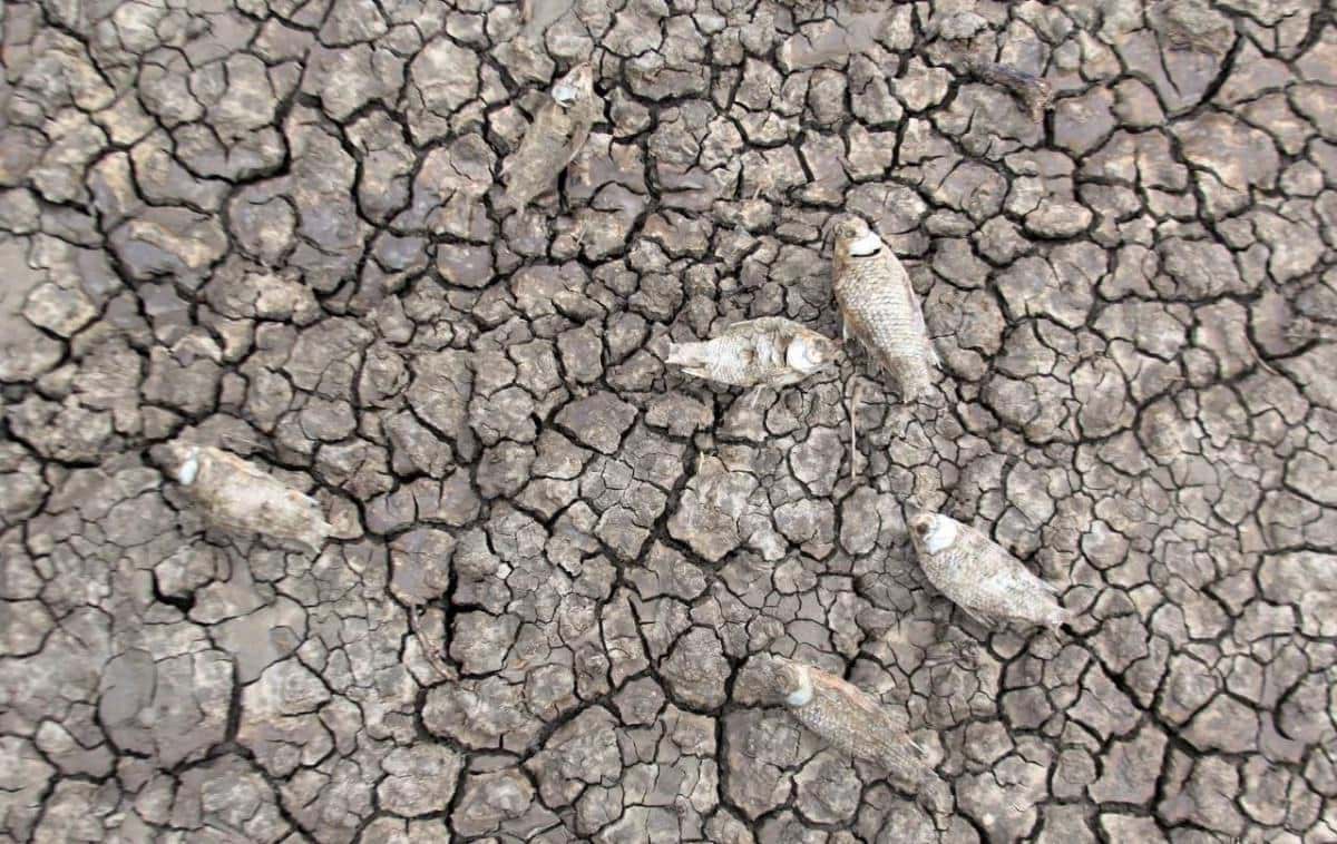 خشک شدن تالاب آق&zwnj;گل ملایر کانونی برای ایجاد گرد و غبار