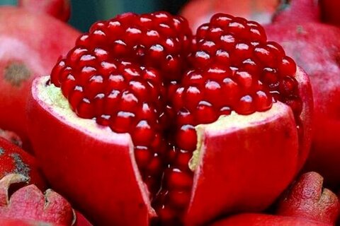 یک اناربخوری انگار 11 عدد میوه خوردی یک اناربخوری انگار 11 عدد میوه خوردی