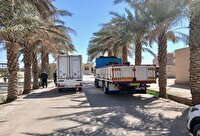صدور بیش از هزار مجوز بهداشتی قرنطینه‌ای حمل دام، طیور و فرآورده‌های خام دامی در شهرستان طبس