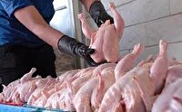 عرضه گوشت مرغ گرم به قیمت هر کیلو گرم ۲۲۰ هزار تومان در گلستان