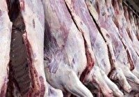 کشف گوشت غیر مجاز در ساوه