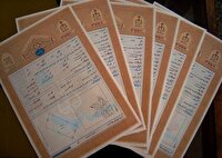 صدور سند مالکیت برای ۲ هزار و ۲۵۵ هکتار از اراضی کشاورزی خراسان شمالی