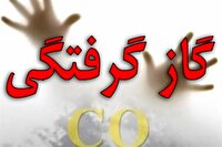 قاتل خاموش در ساوه جان دو نفر را گرفت