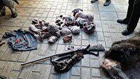 دستگیری شکارچی غیرمجاز در ملایر