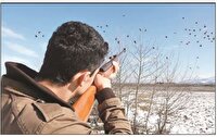 دستگیری سه نفر متخلف شکار و صید پرندگان وحشی در شهرستان نهبندان