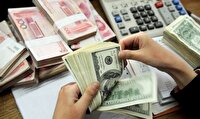 درخواست رئیس اتاق بازرگانی بوشهر برای تمدید مهلت تعهدات ارزی