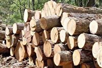 کشف چوب قاچاق در شازند