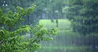 آغاز بارش رحمت الهی در استان بوشهر