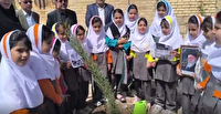 کاشت نهال به یاد شهدای دانش‌آموز میناب در شهرستان کهگیلویه