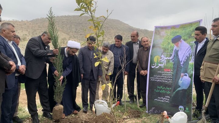کاشت ۷۰۰ اصله نهال با پویش ملی سرو ایران در چاروسا