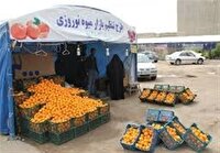 ذخیره‌سازی ۱۸۰ تن میوه عید در استان کرمانشاه