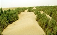 پوشش گیاهی سپری در برابر گرد و غبار