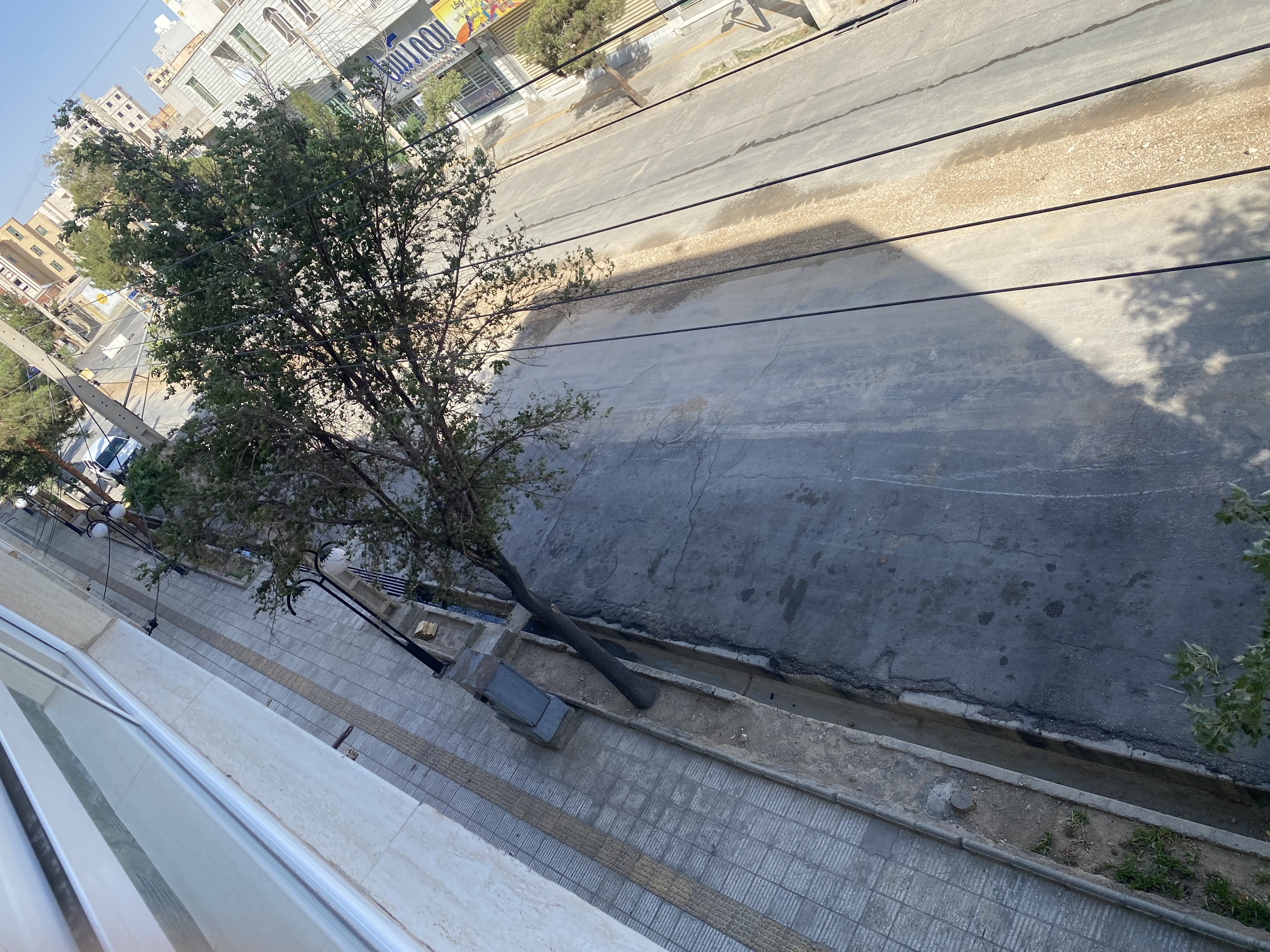 رنجش شهروندان از قطع درختان در دامغان