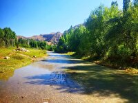 طبیعت زیبای منطقه باجگیران سوژه شهروند خبرنگار شد