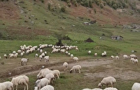 روایت شهروند از ییلاق منحصر بفرد روستای کوربار ماسوله