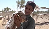  آبادانی ۳۰ هکتار زمین سنگلاخی به همت کارآفرین بومی