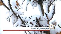 پرتاب سه ماهواره به فضا در نخستین ماه زمستان
