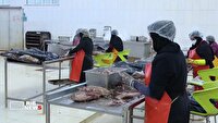 نقش حیاتی واحدهای تولیدی در تأمین کالاهای اساسی