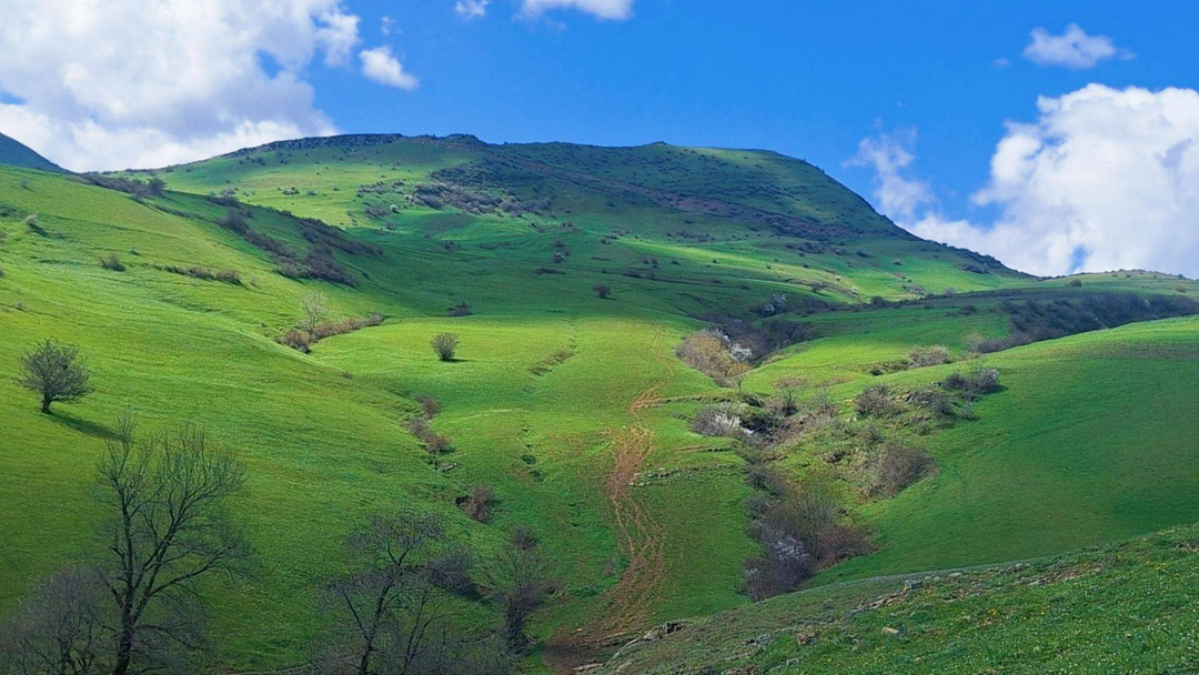 افزایش دما از فردا در اردبیل