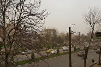 بارش باران و وزش باد شدید