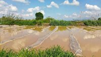 بارش های کم سابقه و سیل در استان گلستان