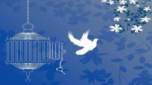 آزادی ۱۹ زندانی در زرند