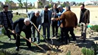فرهنگ‌سازی هنرمندان با غرس نهال