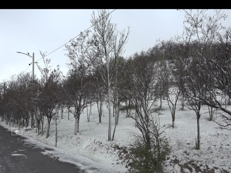 سرما در راه اردبیل،کشاورزان مراقب باغات باشند