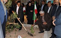 برگزاری پویش هر نهال یک امید برای ایران در استان کرمان