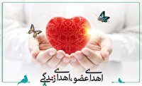 اهدای عضو نوجوان کوهدشتی به چهار بیمار نیازمند
