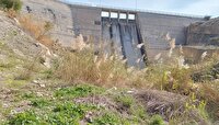سر ریز شدن سد تنگ ارم شهرستان دشتستان