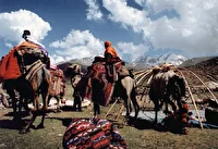 تعویق زمان کوچ عشایر شاهسون در اردبیل