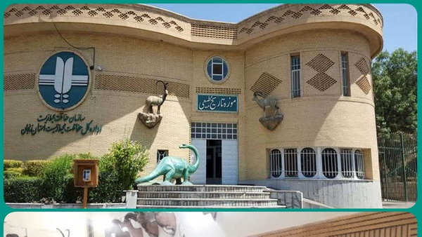 بازدید رایگان از موزه تاریخ طبیعی زنجان بازدید رایگان از موزه تاریخ طبیعی زنجان