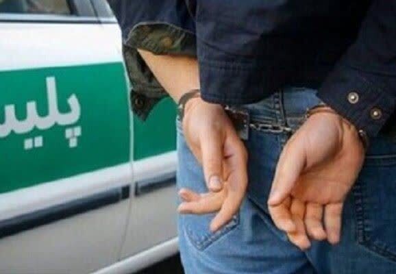 دستگیری سارق گوشواره دختر بچه در کمتر از ۵ ساعت 