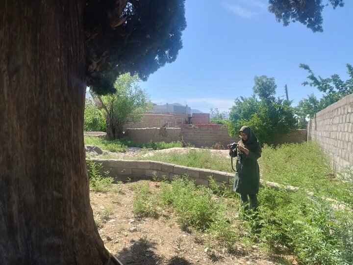 آغاز روند تشکیل پرونده ثبت آثار طبیعی گلباف کرمان آغاز روند تشکیل پرونده ثبت آثار طبیعی گلباف کرمان