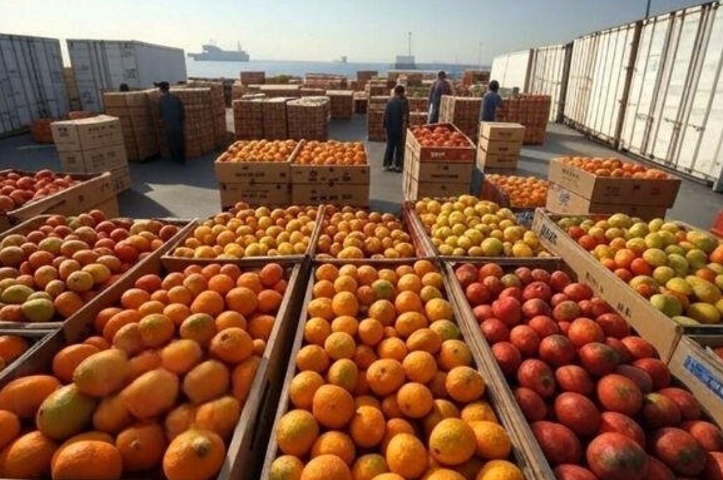 قرنطینه ۴۵۰ هزار تُن محصول کشاورزی در آذربایجان‌شرقی