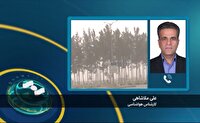 وزش باد شدید و رگبار پراکنده پدیده غالب جوی در سیستان و بلوچستان
