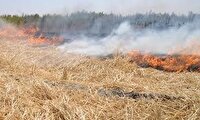 پیگرد قانونی برای فروش خارج از شبکه گندم و سوزاندن کاه و کلش در خرمشهر