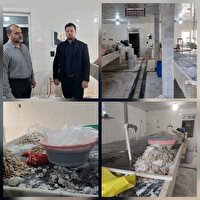 شناسایی و پلمب یک واحد غیر مجاز سورت روده در شهرستان قرچک