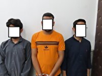 دستگیری باند سارقان سنگ مس  در شاهرود