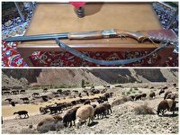 ضبط سلاح قاچاق و خروج دام‌های مازاد از منطقه آزاد ارجمند فیروزکوه