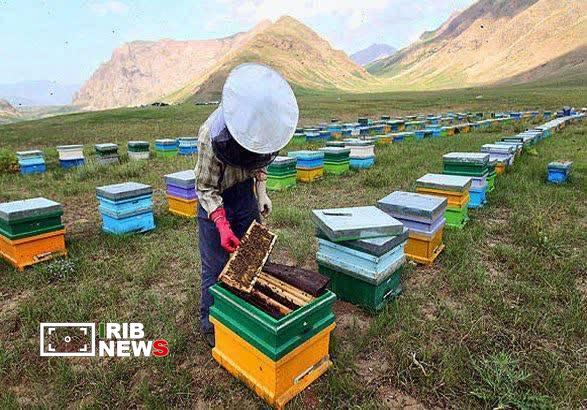 اعتبار ۱۰ میلیارد تومانی برای اشتغال‌زایی در هریس