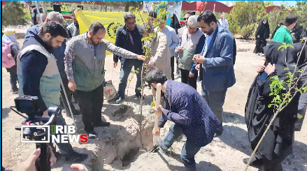 کاشت نهال به یاد دانش آموزان میناب در تبریز